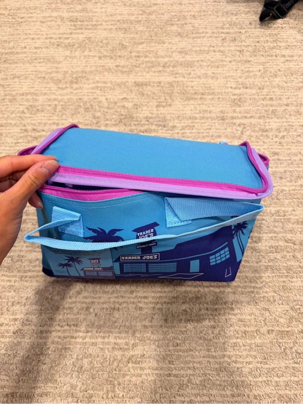 Trader Joe's Mini Cooler Bag
